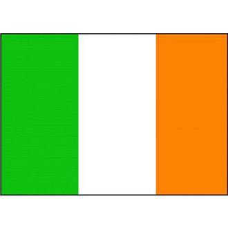 Irish Flag (This item ships Free)