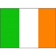 IR-BLANK - Irish Flag (This item ships Free)